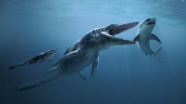 Ancient Sea Monsters