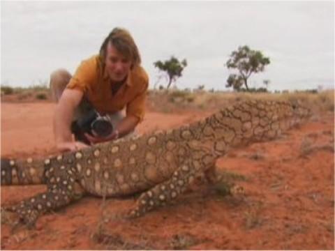 In Search of The Giant Lizard