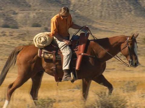 Rattlers of the Wild West