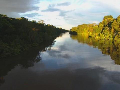 In Search of The Giant Anaconda