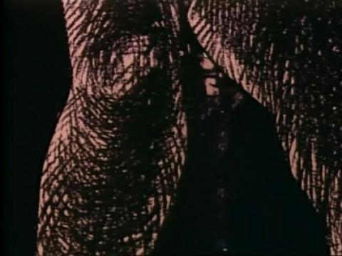 La morte di Toro Riki