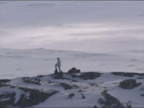 Survival in the Wilds