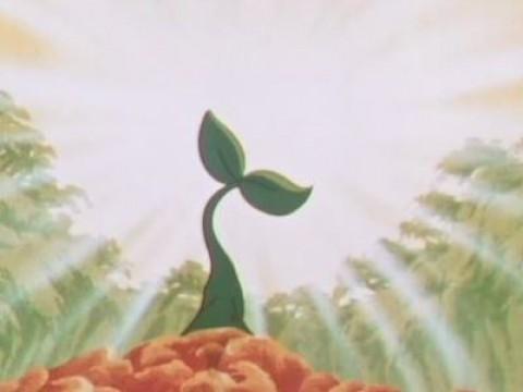 Der Sonnenbaum