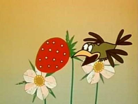 Jak Żwirek i Muchomorek hodowali poziomki