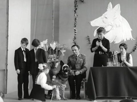 Niewypały