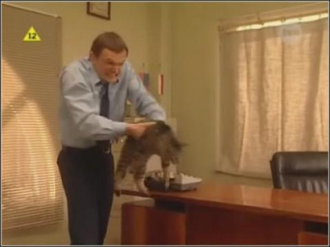 Depresja Pershinga