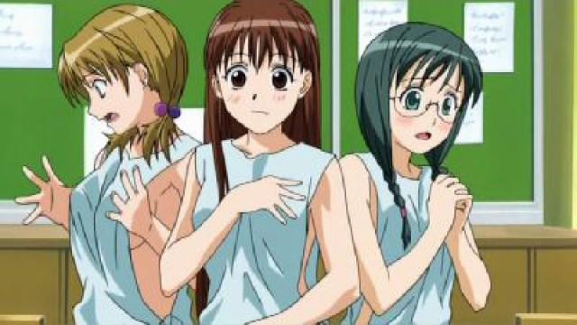 Physical Examinations Are the Scent of a Maiden's Shyness.