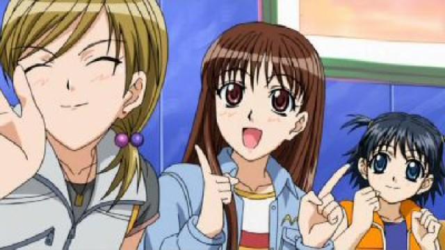 Fall in Love, Deceived, and Then a Love Hotel?