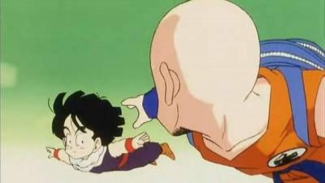 Buona fortuna Bulma