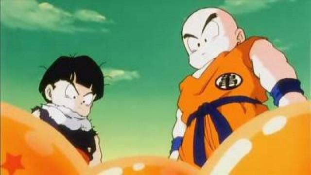 Il falso Goku