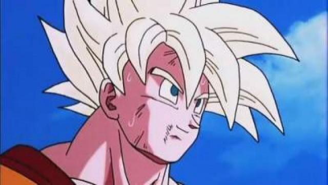 Goku si arrende
