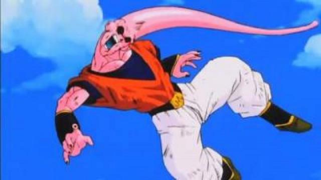 Vegekou viene assorbito