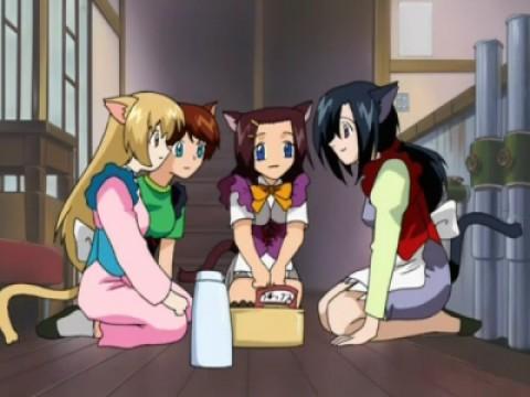 Una de vacaciones para las criadas Cat-Girl