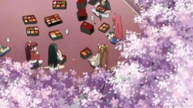 All Aboard for the Flower Festivities