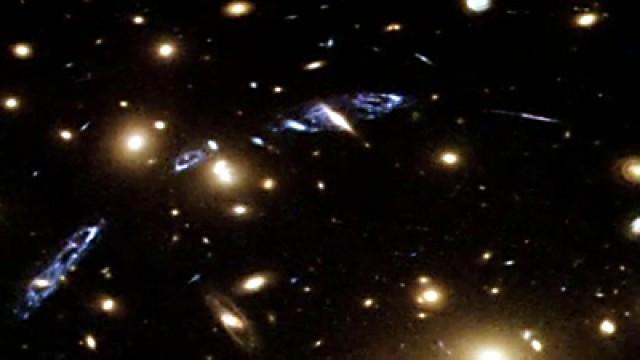 Dark Matter, Of Mice and Memory