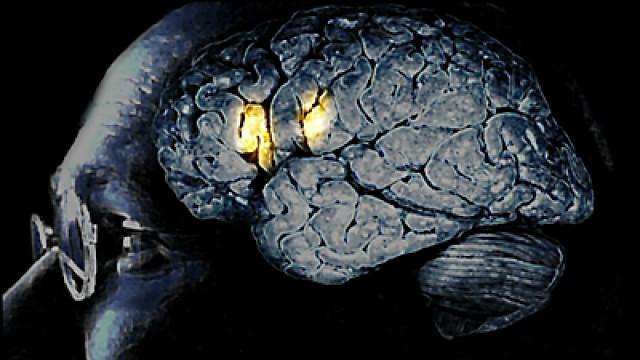Bird Brains, Space Storms
