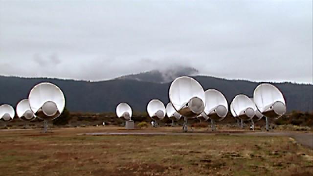 Leeches, The Search for ET, Stem Cells Breakthrough