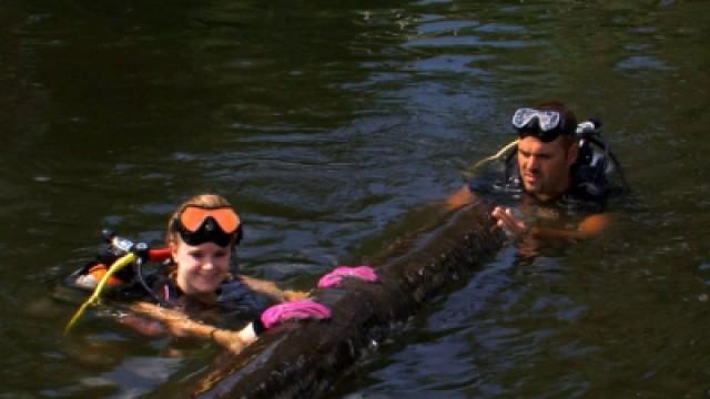 Logger Down