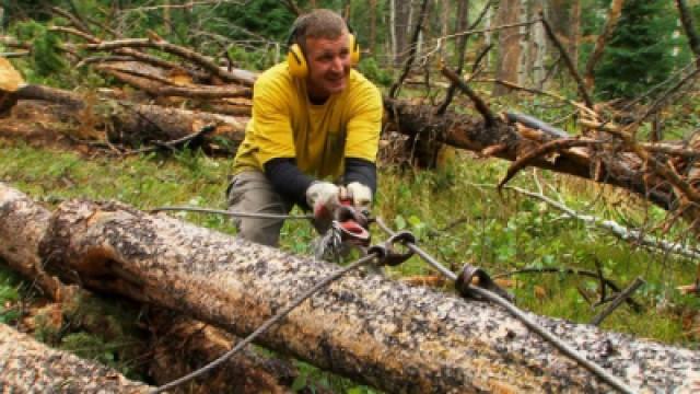 Log Runners