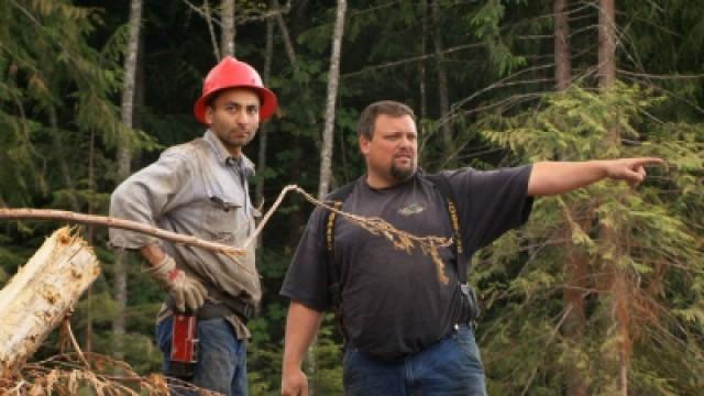 All Hands on Deck