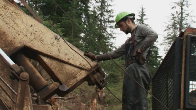 Every Log Has Its Day