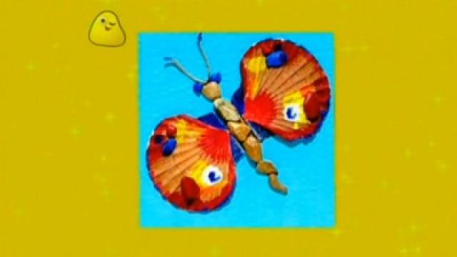 Shell Picture