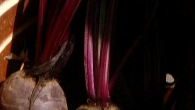 Carrots, Parsnips & Beetroot