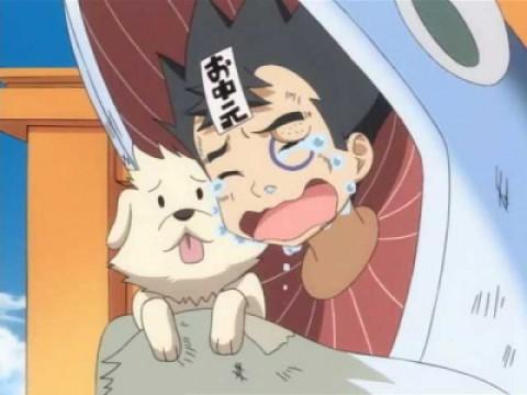 Saruyama en cadeau