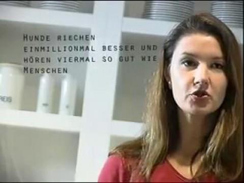 Ich weiß immer noch nicht genau, …