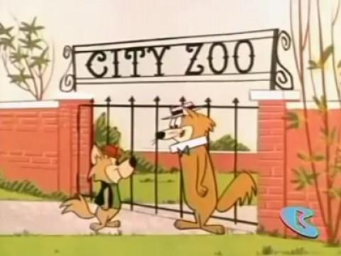 Pranzo allo zoo