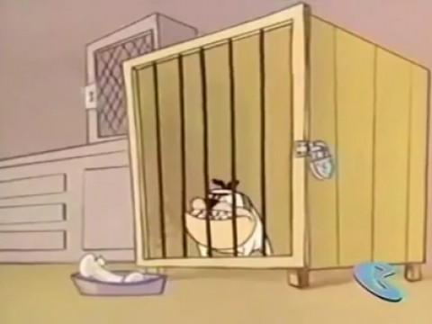 Il lupo inseguito dal cane