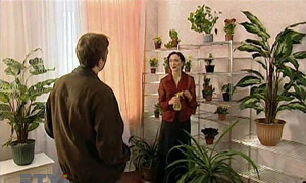 Сальдо-бульдо. Часть 1