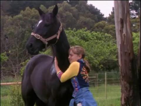 Found Horse (2)