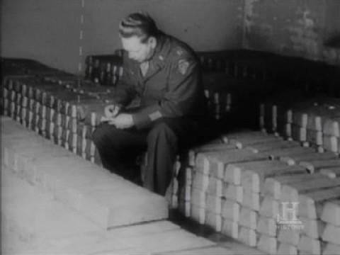 The Nazi Plundering of Europe