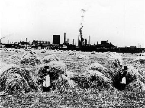 Destroying Hitler's Oil