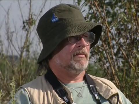 The Heron Incident