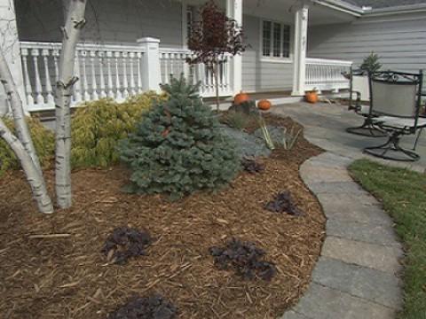Circular Beds
