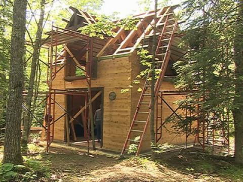 Timber Shed Roof Framing