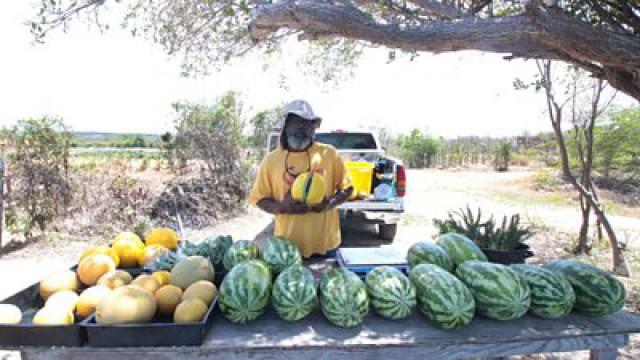 Anguilla - Beauty is Power, a Smile is its Sword
