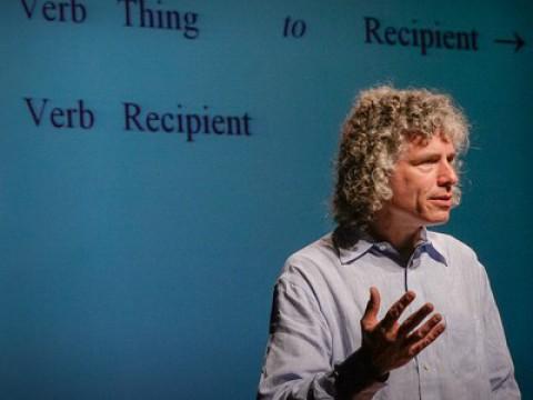 Steven Pinker: What our language habits reveal