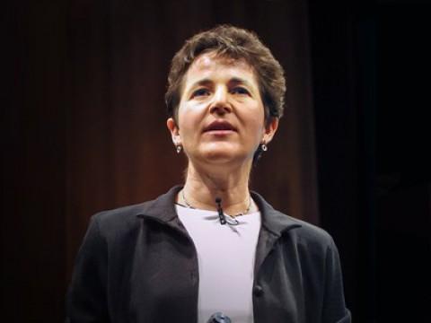 Deborah Gordon: The emergent genius of ant colonies