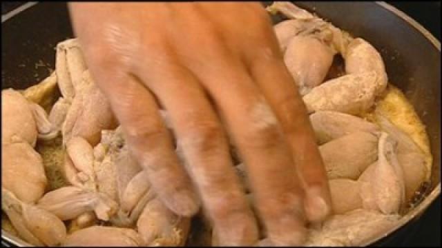Kikkerbilletjes