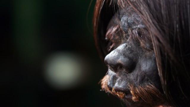 Search for the Amazon Headshrinkers