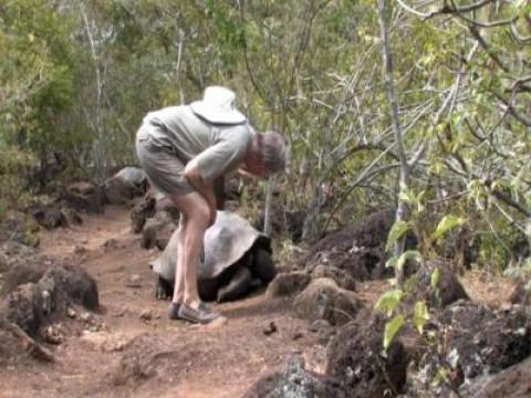 Galapagos Tales