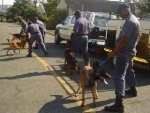 South Africa