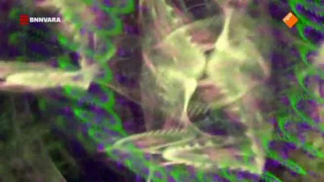 Seks van de toekomst en DMT
