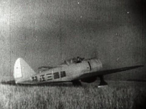 Wings of the Rising Sun