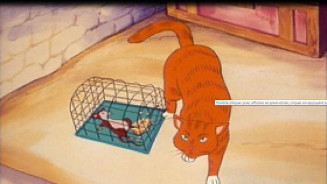 La souris, le chat et le petit garçon