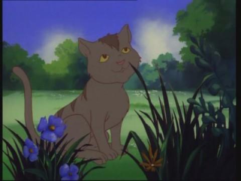 Comment le chat trouve la maison de ses rêves