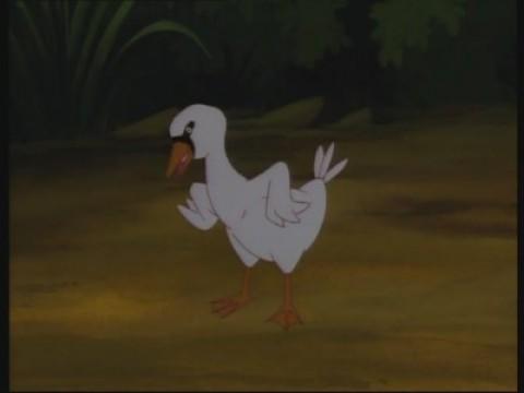 L'envol de petit canard